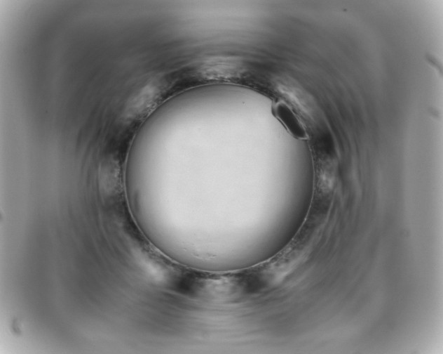 X0000096460411200801241411