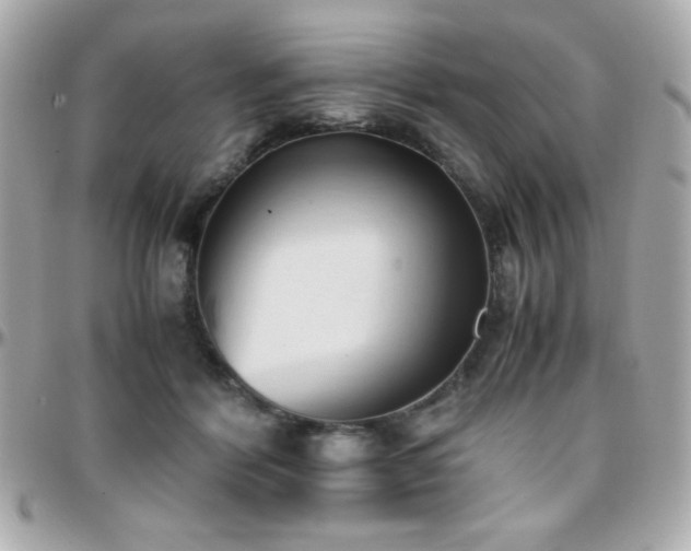 X0000096460412200801241411