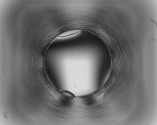 X0000096460413200801241411