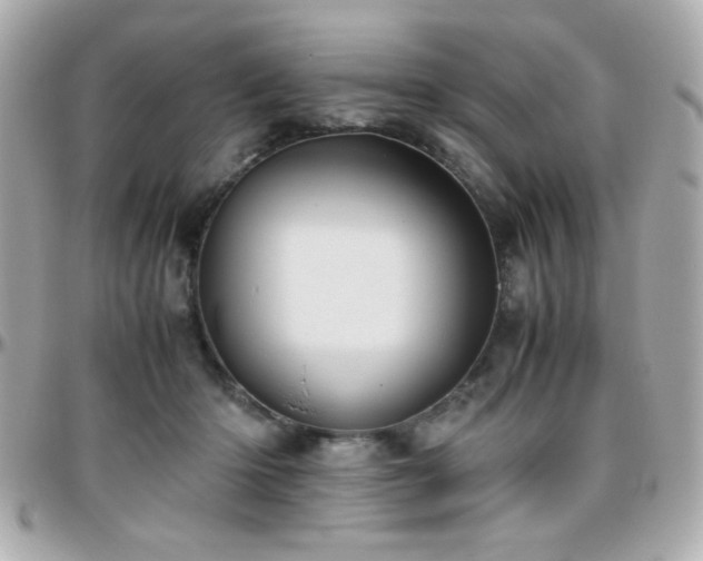 X0000096460414200801241411