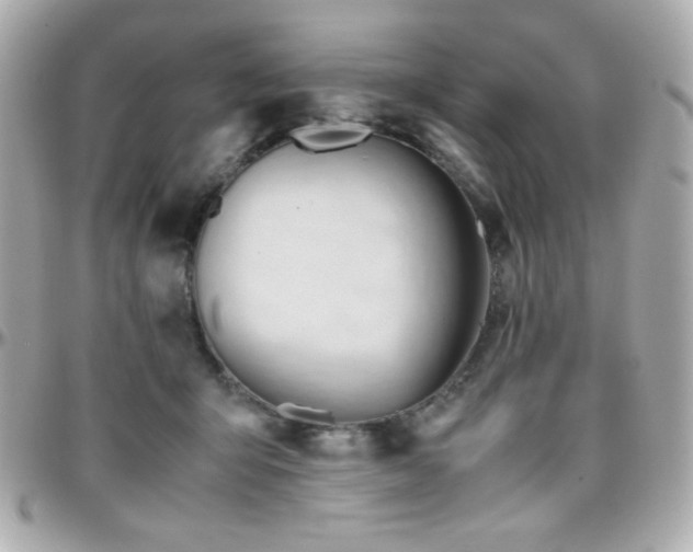 X0000096460415200801241411