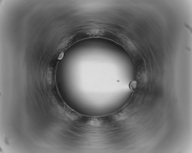 X0000096460416200801241411