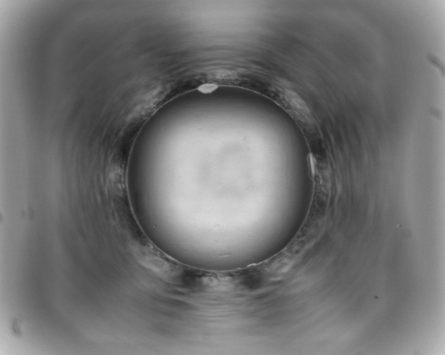 X0000096460419200801241411