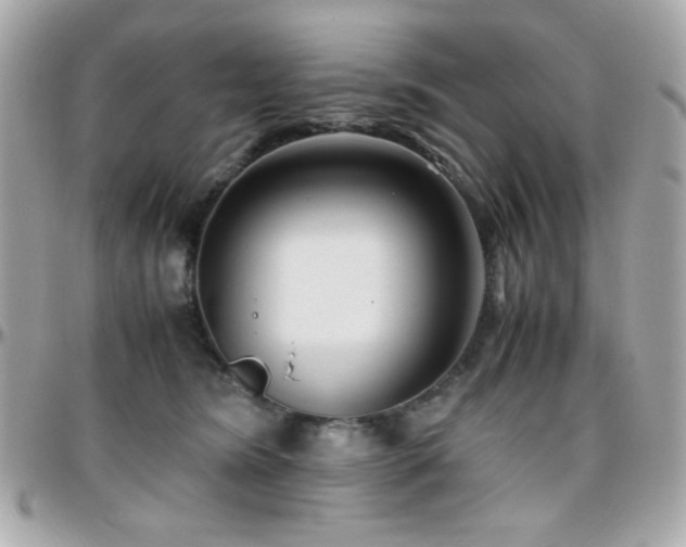 X0000096460420200801241411