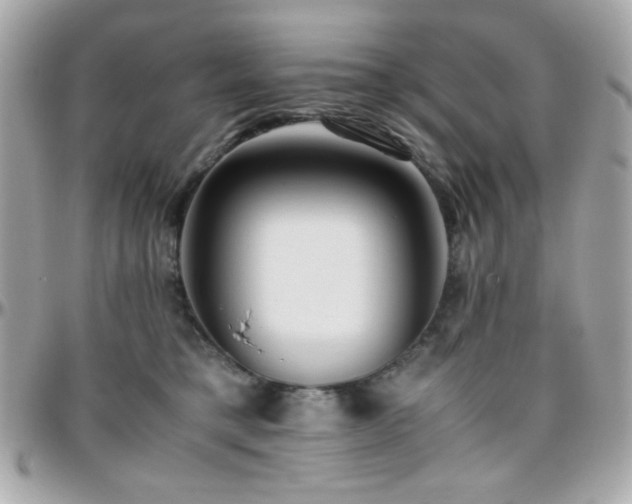 X0000096460421200801241411