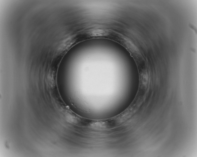 X0000096460422200801241411