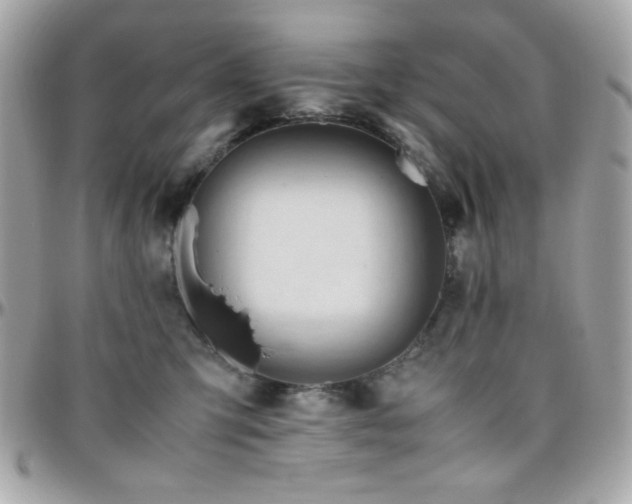 X0000096460423200801241411