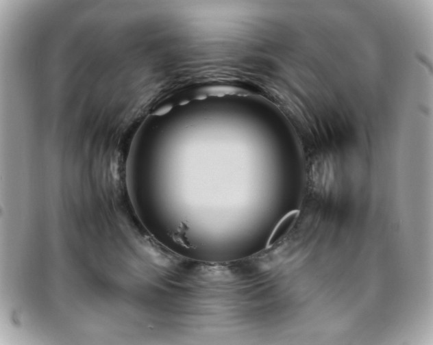 X0000096460424200801241411