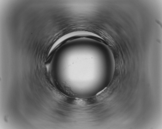X0000096460425200801241411