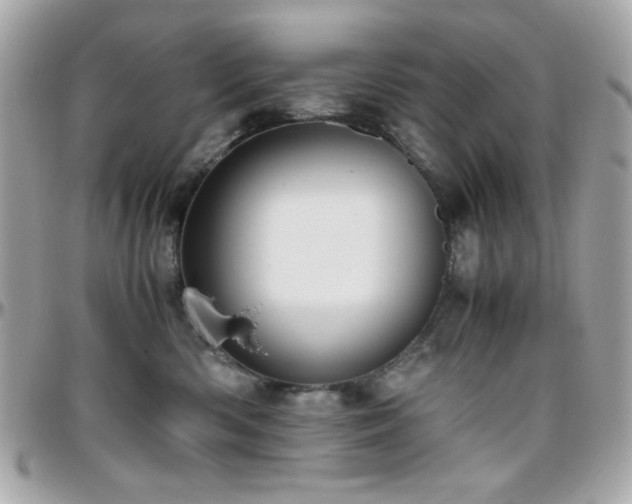 X0000096460426200801241411