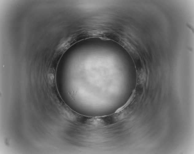 X0000096460427200801241411