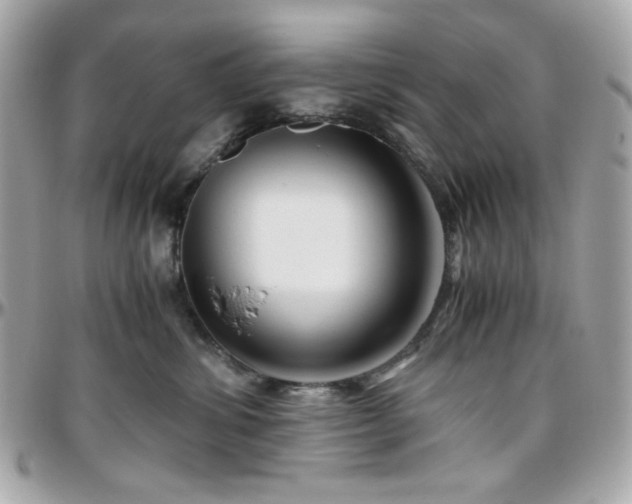 X0000096460428200801241411