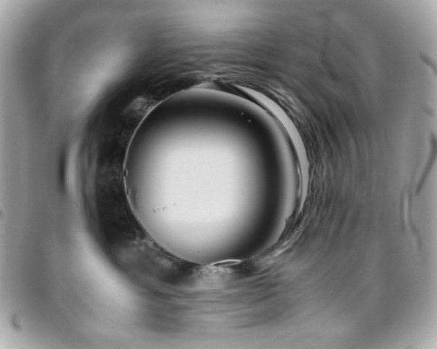 X0000096460429200801241411