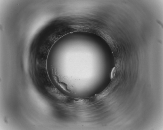 X0000096460430200801241411