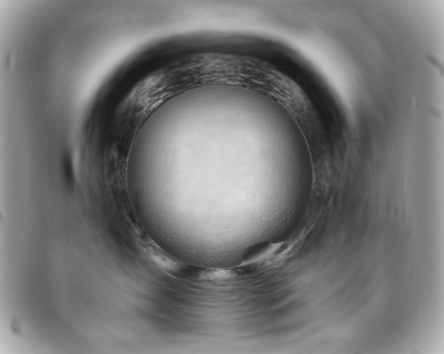 X0000096460431200801241411