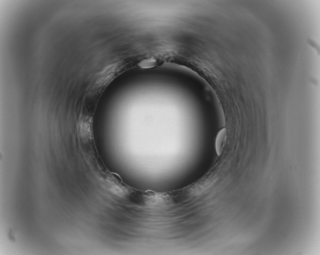 X0000096460432200801241410