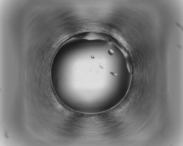 X0000096460433200801241410