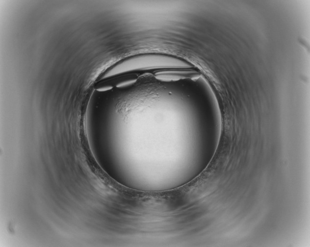 X0000096460434200801241410