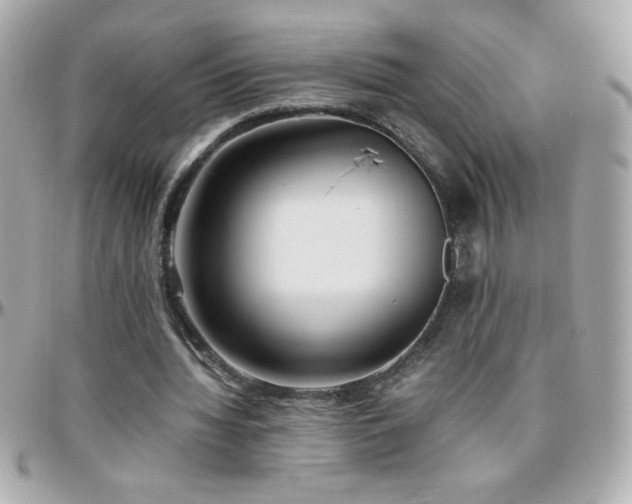 X0000096460436200801241410