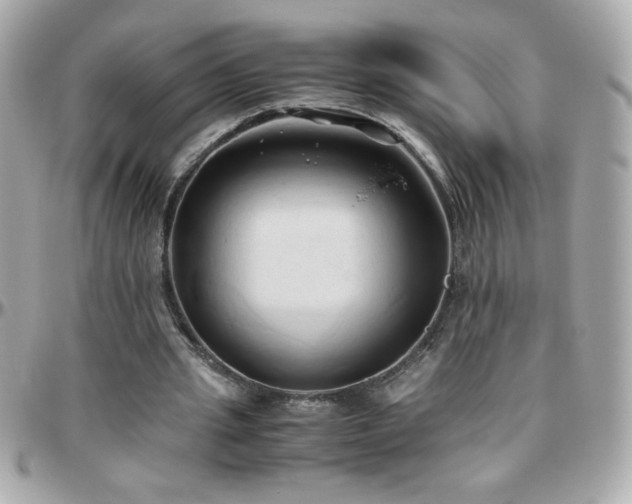 X0000096460437200801241410