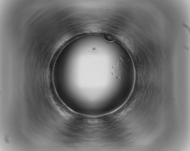 X0000096460439200801241410