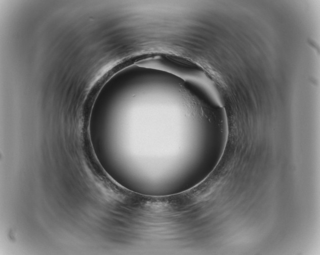 X0000096460440200801241410