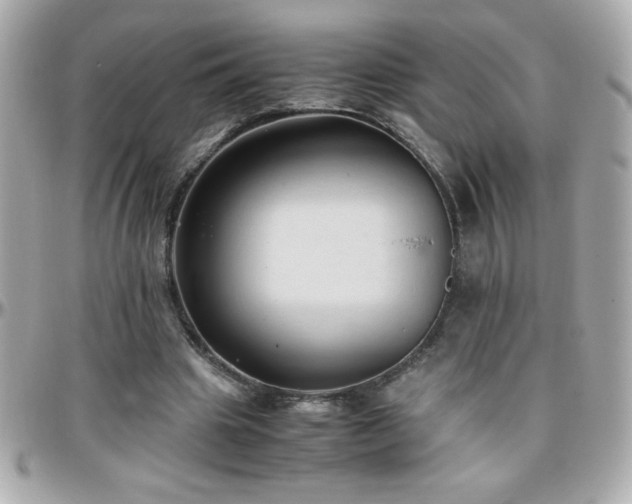 X0000096460441200801241410