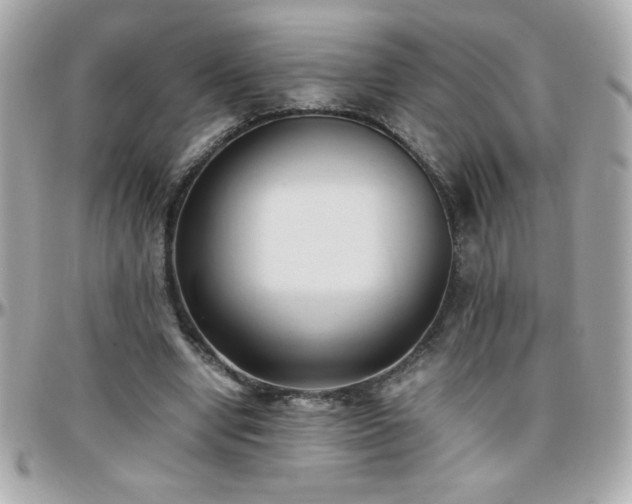 X0000096460442200801241410