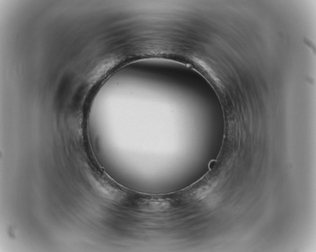 X0000096460443200801241410