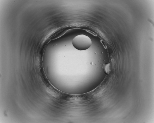 X0000096460444200801241410