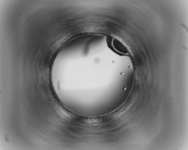 X0000096460445200801241410