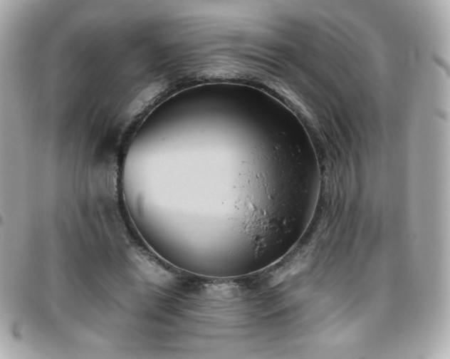 X0000096460446200801241410