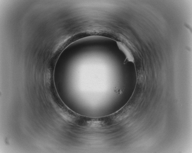 X0000096460448200801241410