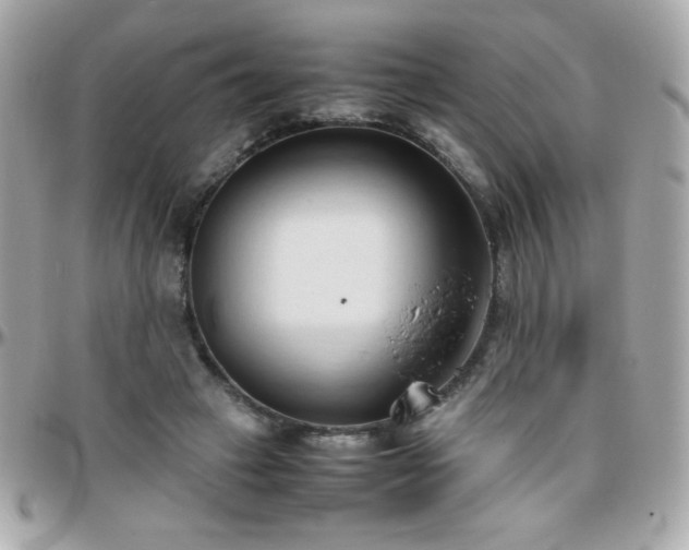 X0000096460449200801241410