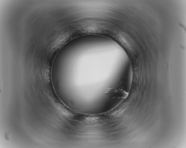 X0000096460450200801241410