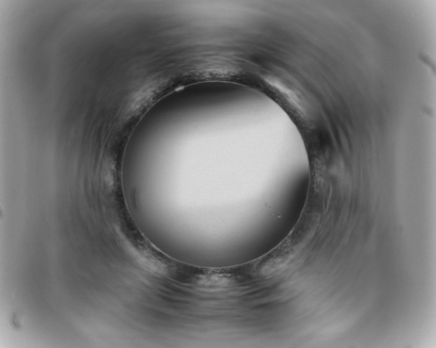 X0000096460451200801241410