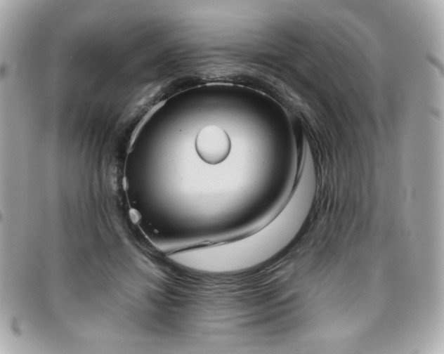 X0000096460452200801241410