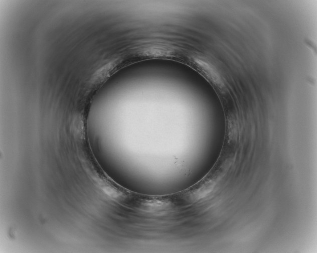 X0000096460453200801241410