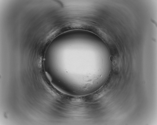 X0000096460454200801241410