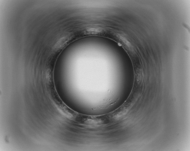X0000096460455200801241410