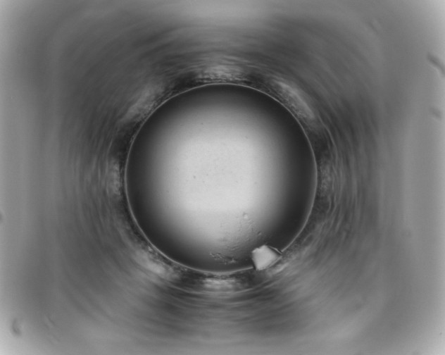 X0000096460457200801241410
