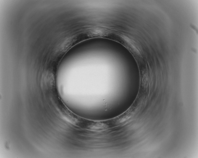 X0000096460459200801241410