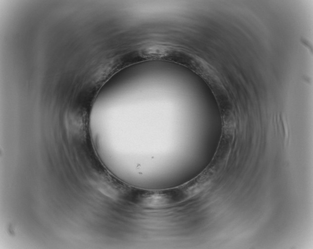 X0000096460460200801241410