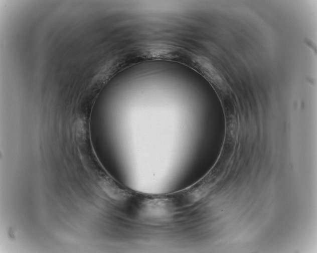 X0000096460461200801241410