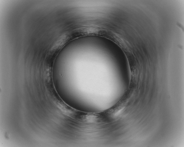 X0000096460462200801241410