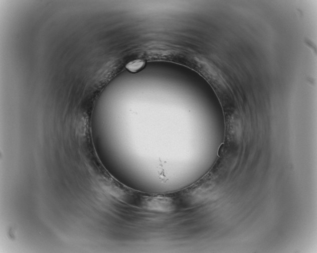 X0000096460463200801241410