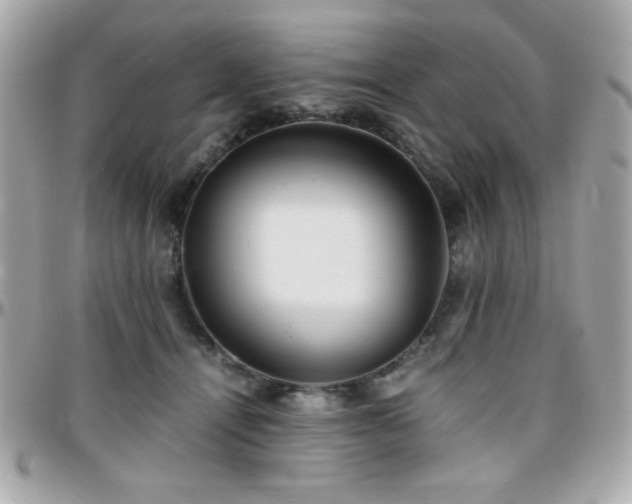 X0000096460464200801241410
