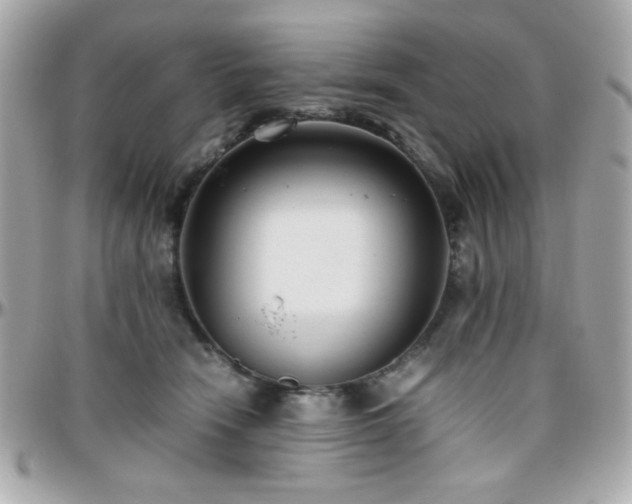 X0000096460466200801241410