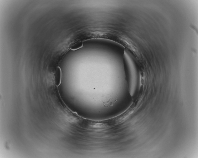 X0000096460467200801241410