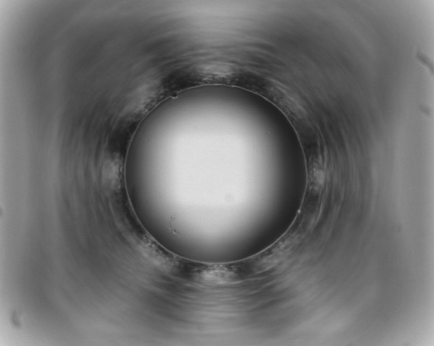 X0000096460468200801241410